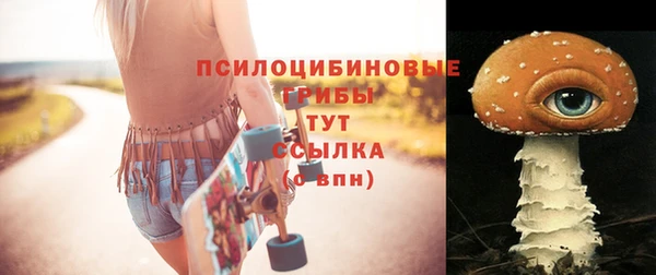 СК Бородино
